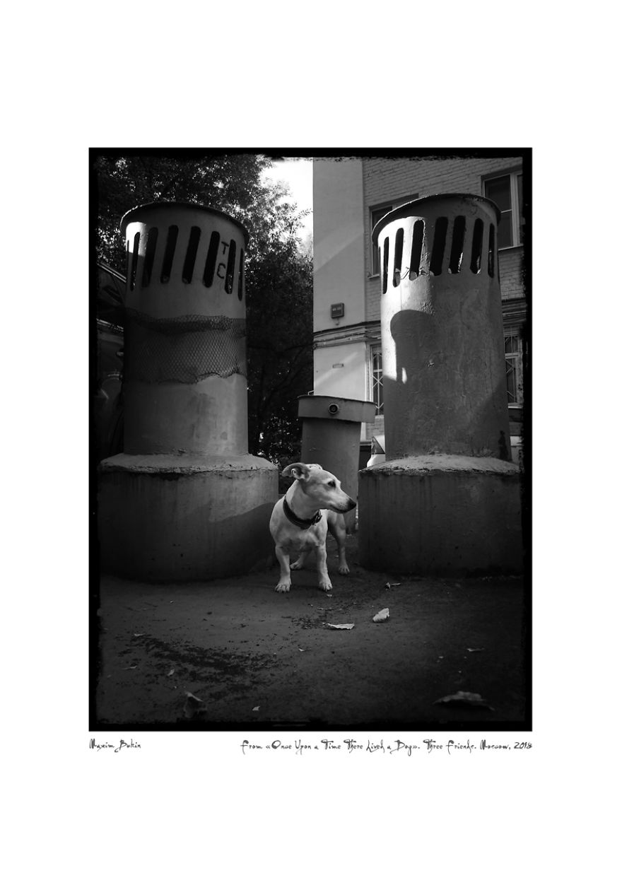 Once Upon A Time There Lived A Dog