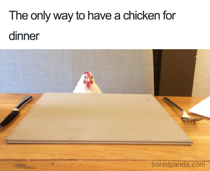 35 Hilarious Vegan Memes That May Change The Way You Look At Meat