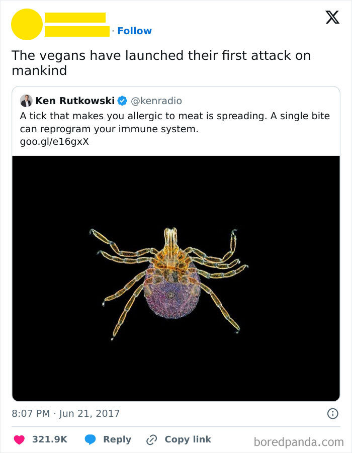 35 Hilarious Vegan Memes That May Change The Way You Look At Meat