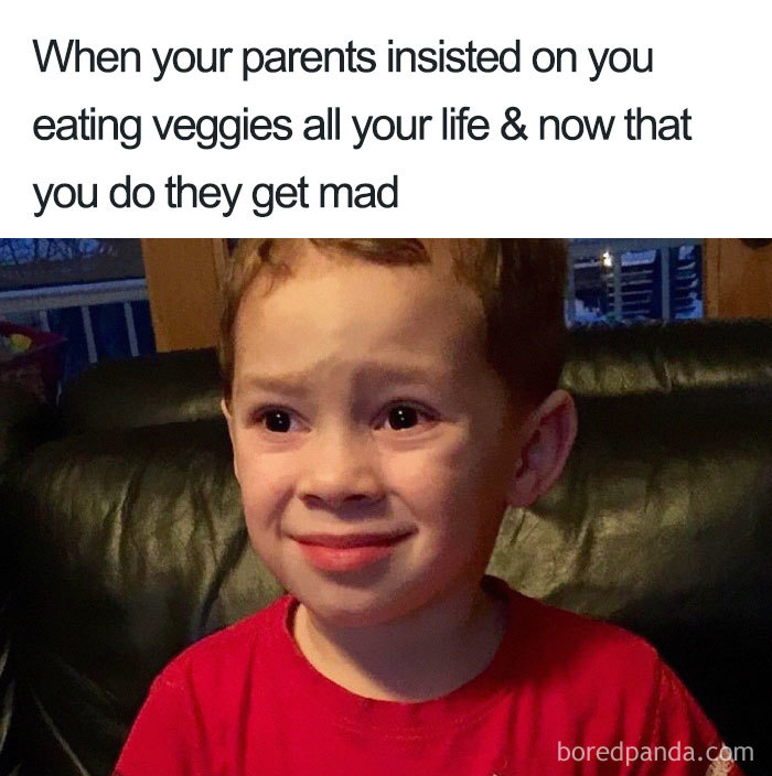 35 Hilarious Vegan Memes That May Change The Way You Look At Meat