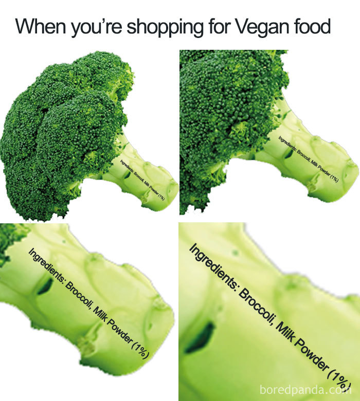 35 Hilarious Vegan Memes That May Change The Way You Look At Meat