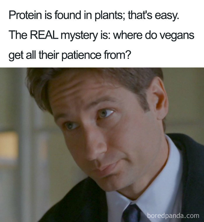 35 Hilarious Vegan Memes That May Change The Way You Look At Meat