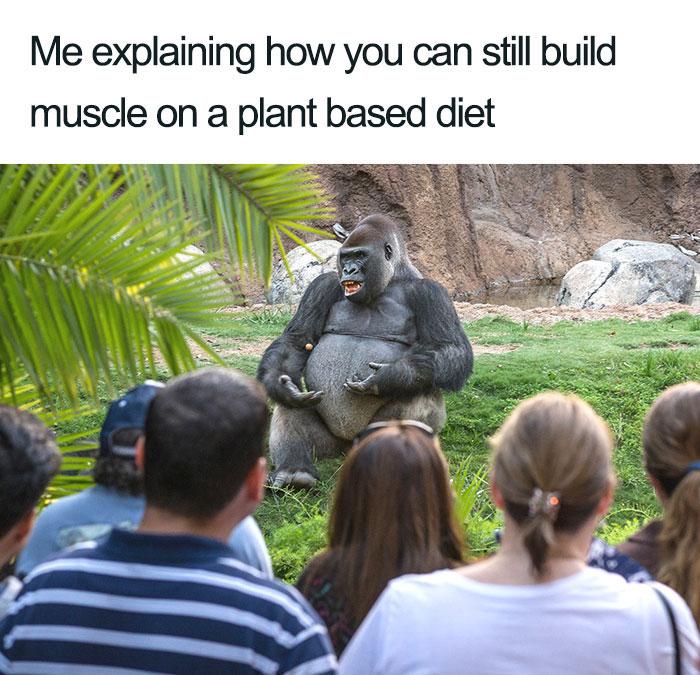 35 Hilarious Vegan Memes That May Change The Way You Look At Meat
