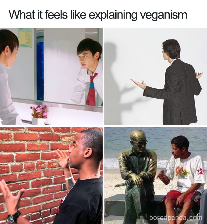 35 Hilarious Vegan Memes That May Change The Way You Look At Meat