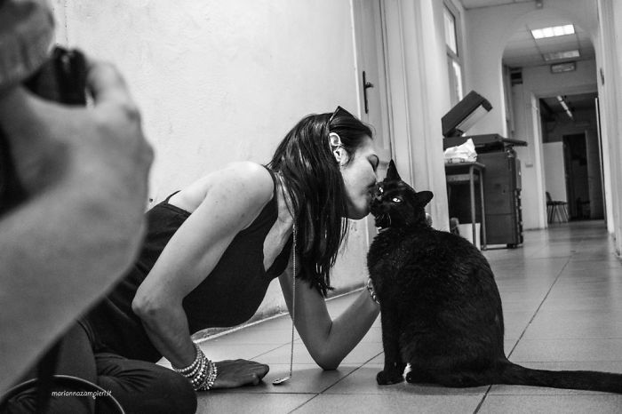 I Spent Years Trying To Photograph Moments Of ‘Catisfaction’ (Part 3) I Spent Years Trying To Photograph Moments Of ‘Catisfaction’ (Part 3)