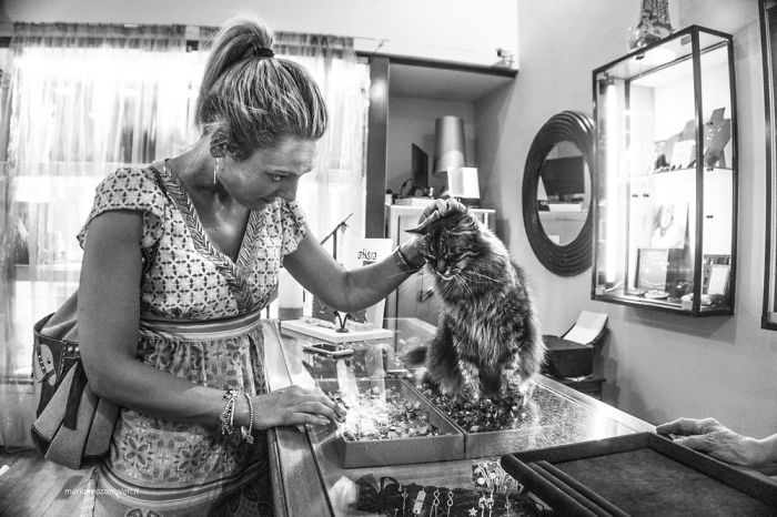 I Spent Years Trying To Photograph Moments Of ‘Catisfaction’ (Part 3) I Spent Years Trying To Photograph Moments Of ‘Catisfaction’ (Part 3)