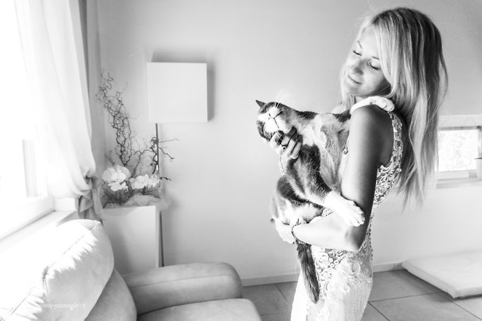 I Spent Years Trying To Photograph Moments Of ‘Catisfaction’ (Part 3) I Spent Years Trying To Photograph Moments Of ‘Catisfaction’ (Part 3)