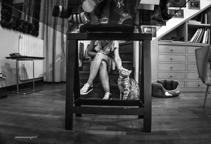 I Spent Years Trying To Photograph Moments Of ‘Catisfaction’ (Part 3) I Spent Years Trying To Photograph Moments Of ‘Catisfaction’ (Part 3)