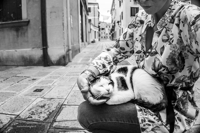 I Spent Years Trying To Photograph Moments Of ‘Catisfaction’ (Part 3) I Spent Years Trying To Photograph Moments Of ‘Catisfaction’ (Part 3)