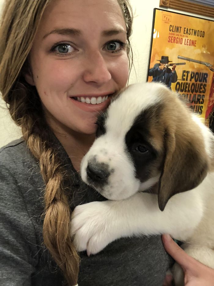 378 Of The Cutest Puppies Ever 378 Of The Cutest Puppies Ever