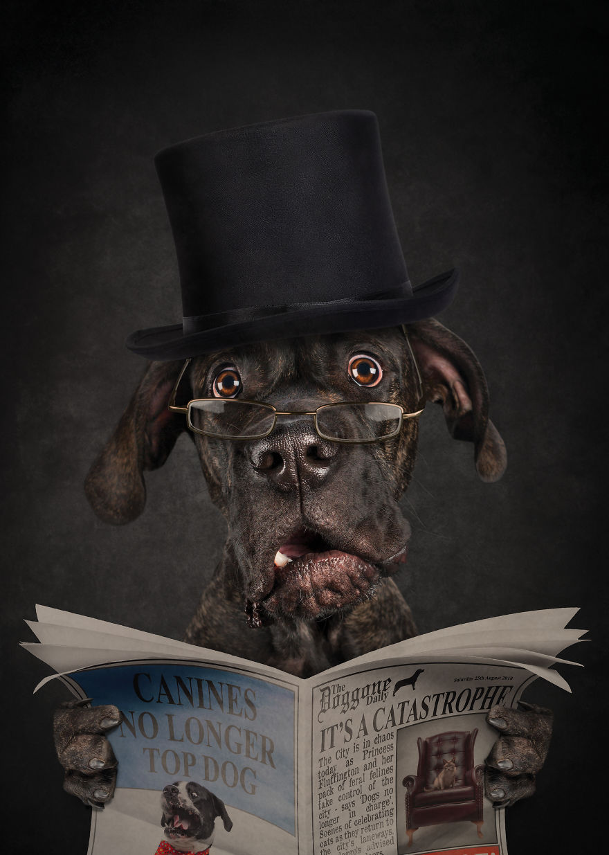 I Create Badass Human Like Characters From Dog Photos