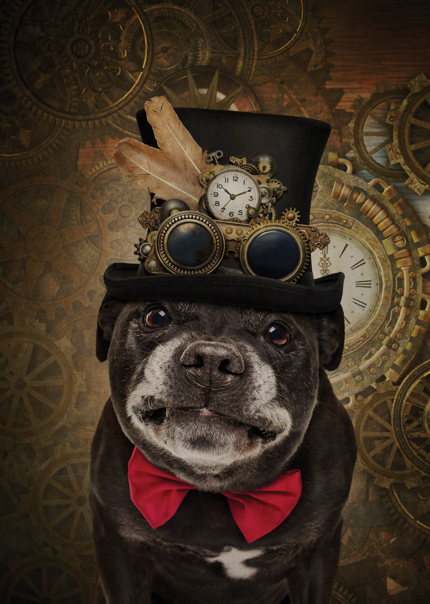 I Create Badass Human Like Characters From Dog Photos