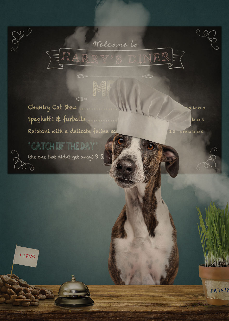 I Create Badass Human Like Characters From Dog Photos