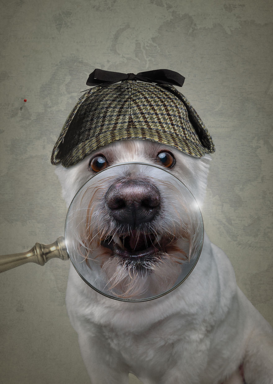 I Create Badass Human Like Characters From Dog Photos