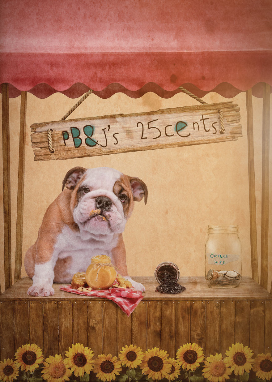 I Create Badass Human Like Characters From Dog Photos