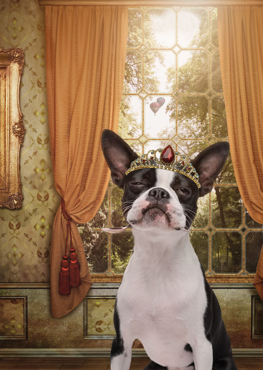 I Create Badass Human Like Characters From Dog Photos