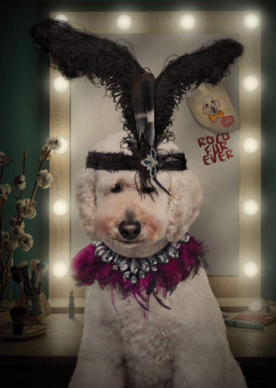 I Create Badass Human Like Characters From Dog Photos