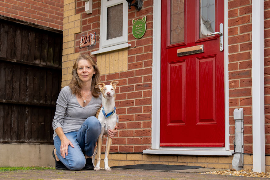 A New Plaque Scheme Has Launched And It’s All About Celebrating Amazing Animals A New Plaque Scheme Has Launched And It’s All About Celebrating Amazing Animals