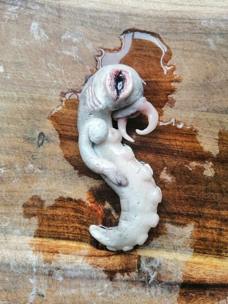 Deliciously Creepy Seafood From New Zealand Deliciously Creepy Seafood From New Zealand