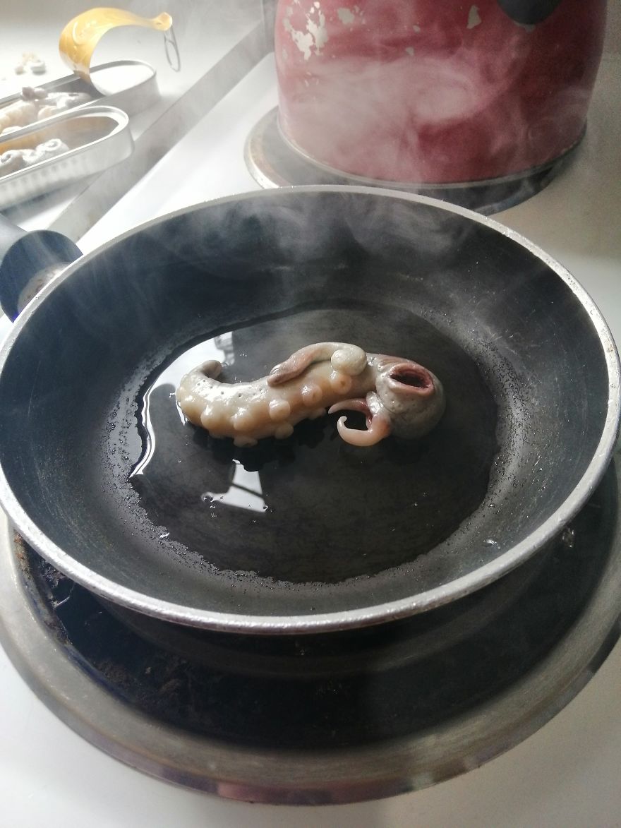 Deliciously Creepy Seafood From New Zealand Deliciously Creepy Seafood From New Zealand