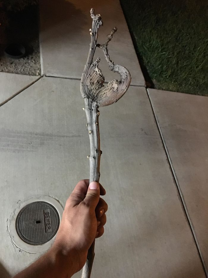 50 Surprising Things That People Found