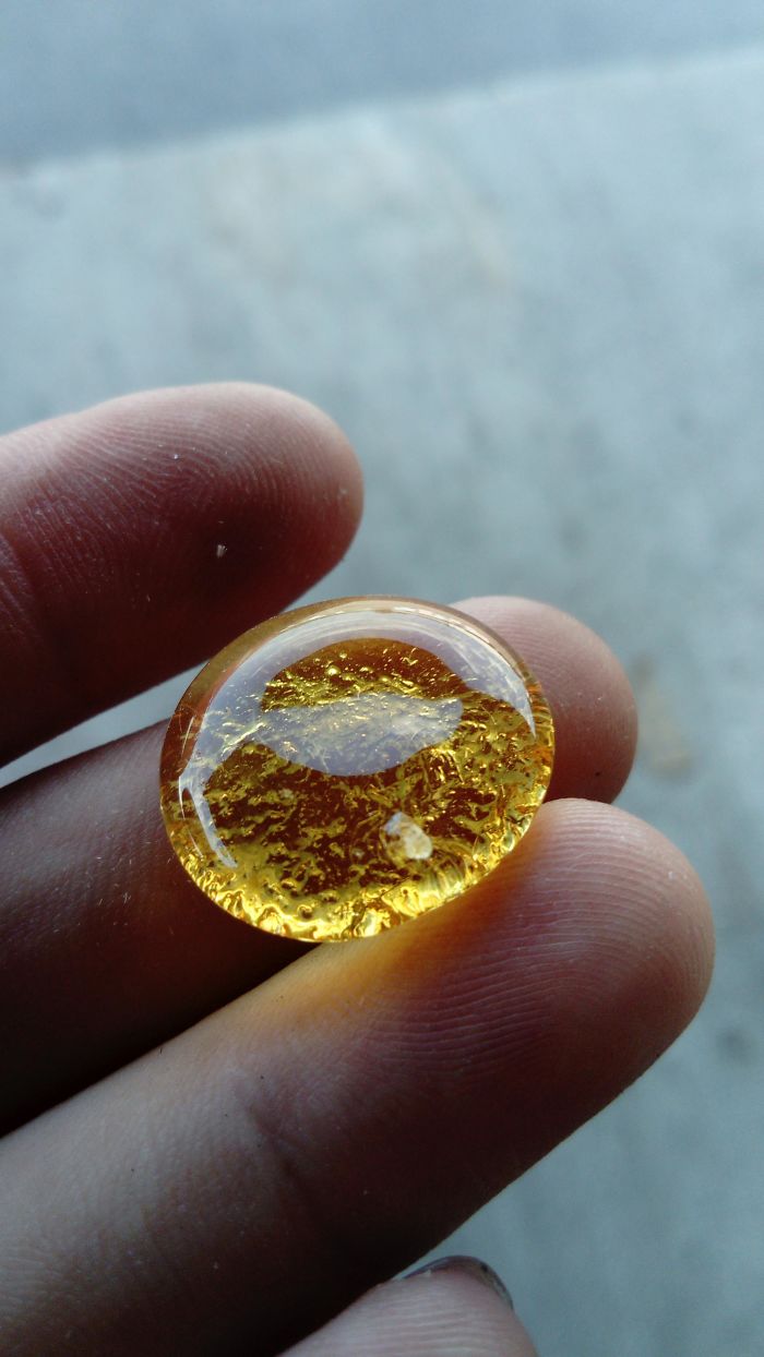 50 Surprising Things That People Found