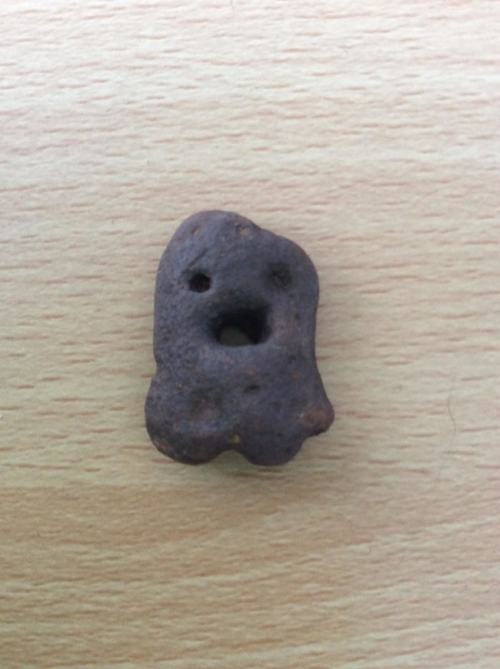 50 Surprising Things That People Found