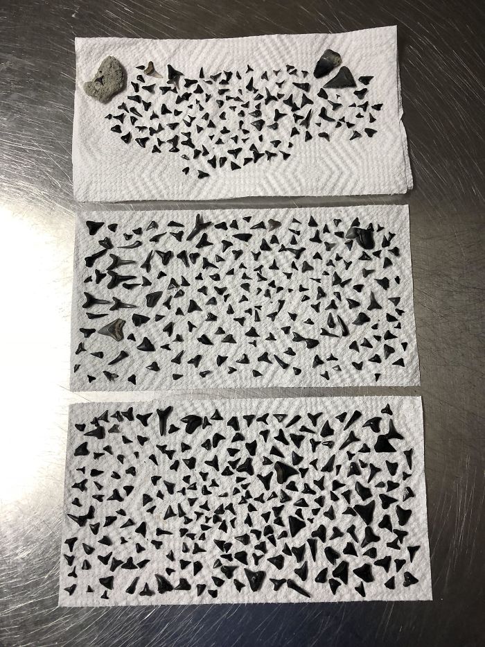 50 Surprising Things That People Found