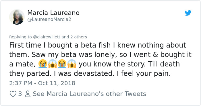 This Woman’s Co-Workers Hold A Funeral For Her Dead Fish And People Can’t Stop Laughing At How It Turned Out This Woman’s Co-Workers Hold A Funeral For Her Dead Fish And People Can’t Stop Laughing At How It Turned Out