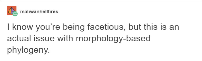 Tumblr Users Discuss Why A Coconut Is Not Considered A Mammal, And It Escalates Quickly Tumblr Users Discuss Why A Coconut Is Not Considered A Mammal, And It Escalates Quickly