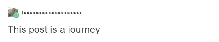 Tumblr Users Discuss Why A Coconut Is Not Considered A Mammal, And It Escalates Quickly Tumblr Users Discuss Why A Coconut Is Not Considered A Mammal, And It Escalates Quickly