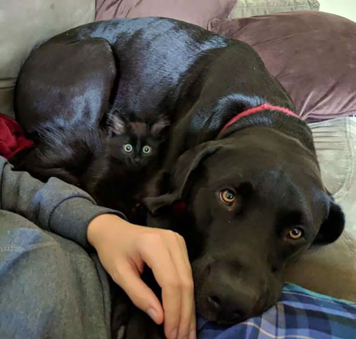 71 Times Things Matched Their Surroundings Too Well 71 Times Things Matched Their Surroundings Too Well