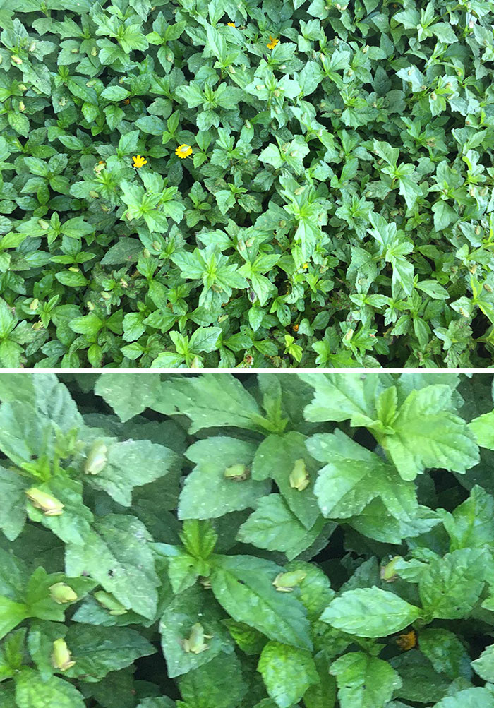 71 Times Things Matched Their Surroundings Too Well 71 Times Things Matched Their Surroundings Too Well