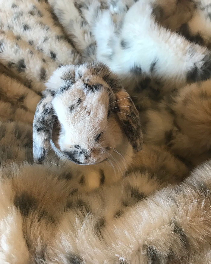 71 Times Things Matched Their Surroundings Too Well 71 Times Things Matched Their Surroundings Too Well