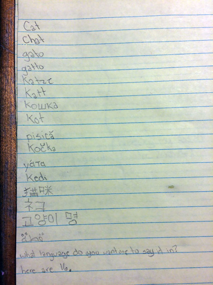 30 Kids That Have No Idea How Funny They Are 30 Kids That Have No Idea How Funny They Are