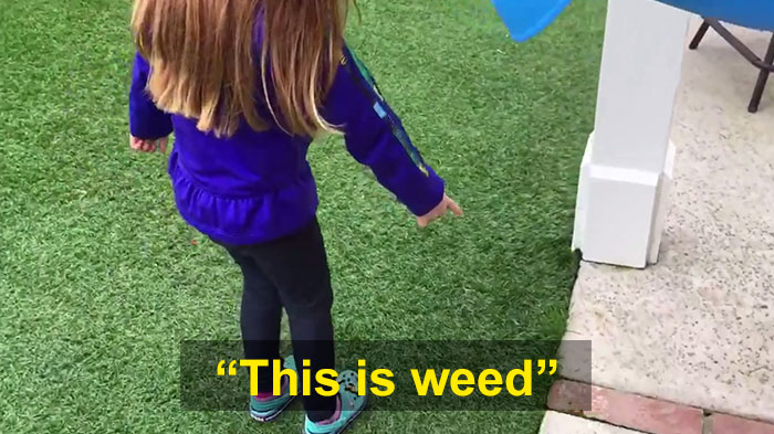 This Dad Asked His Daughter To Explain Why She Told Teachers He Grew Weed, And It’s Hard Not To Laugh