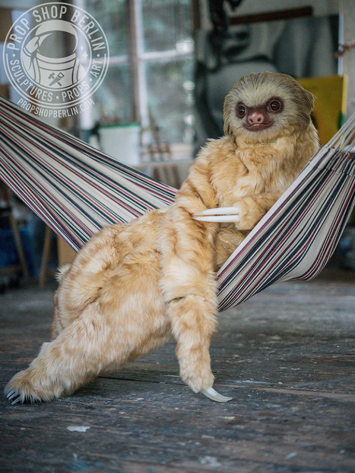 I Made A Realistic Two-Toed Sloth Costume I Made A Realistic Two-Toed Sloth Costume