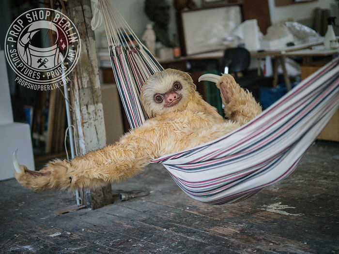 I Made A Realistic Two-Toed Sloth Costume I Made A Realistic Two-Toed Sloth Costume