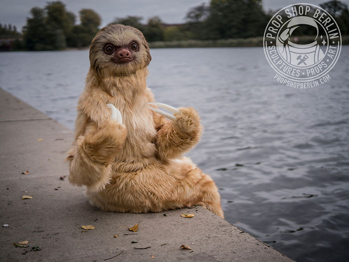 I Made A Realistic Two-Toed Sloth Costume I Made A Realistic Two-Toed Sloth Costume