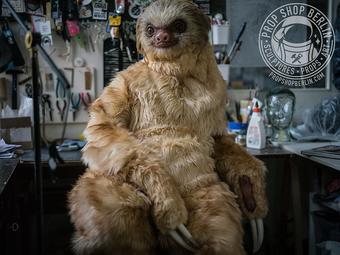 I Made A Realistic Two-Toed Sloth Costume I Made A Realistic Two-Toed Sloth Costume