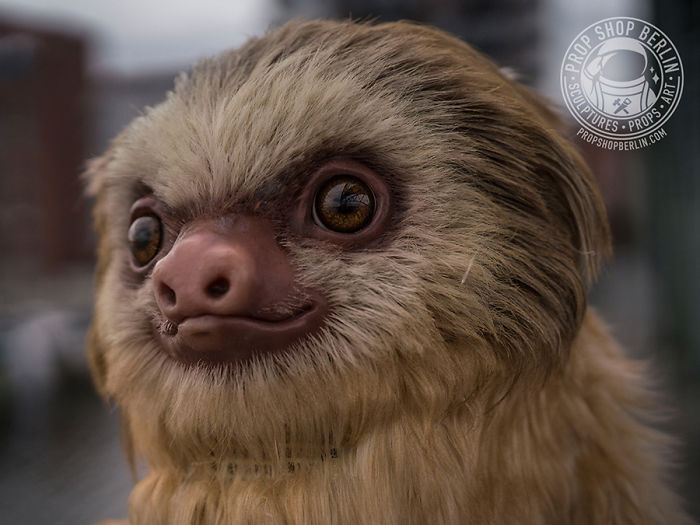 I Made A Realistic Two-Toed Sloth Costume I Made A Realistic Two-Toed Sloth Costume