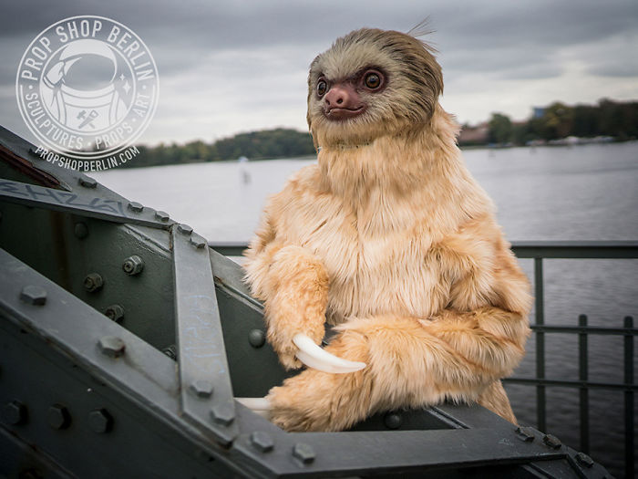 I Made A Realistic Two-Toed Sloth Costume I Made A Realistic Two-Toed Sloth Costume