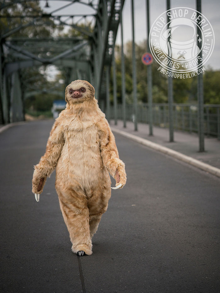 I Made A Realistic Two-Toed Sloth Costume I Made A Realistic Two-Toed Sloth Costume