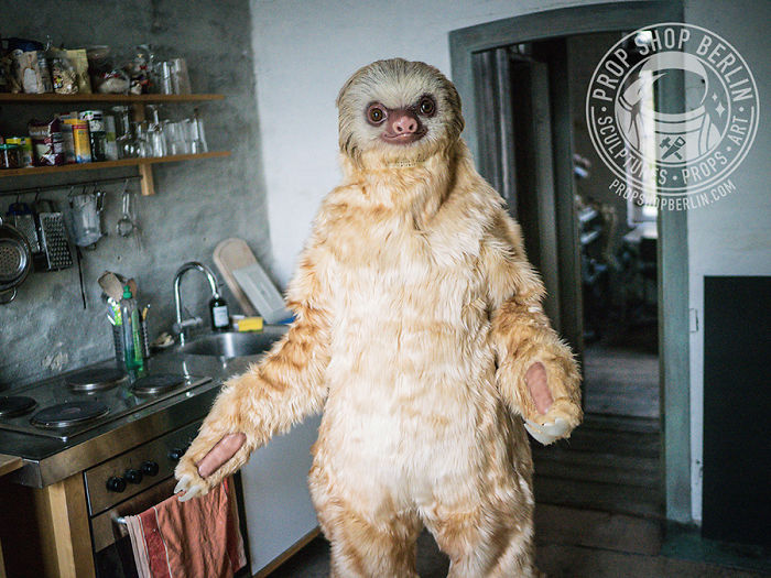 I Made A Realistic Two-Toed Sloth Costume I Made A Realistic Two-Toed Sloth Costume