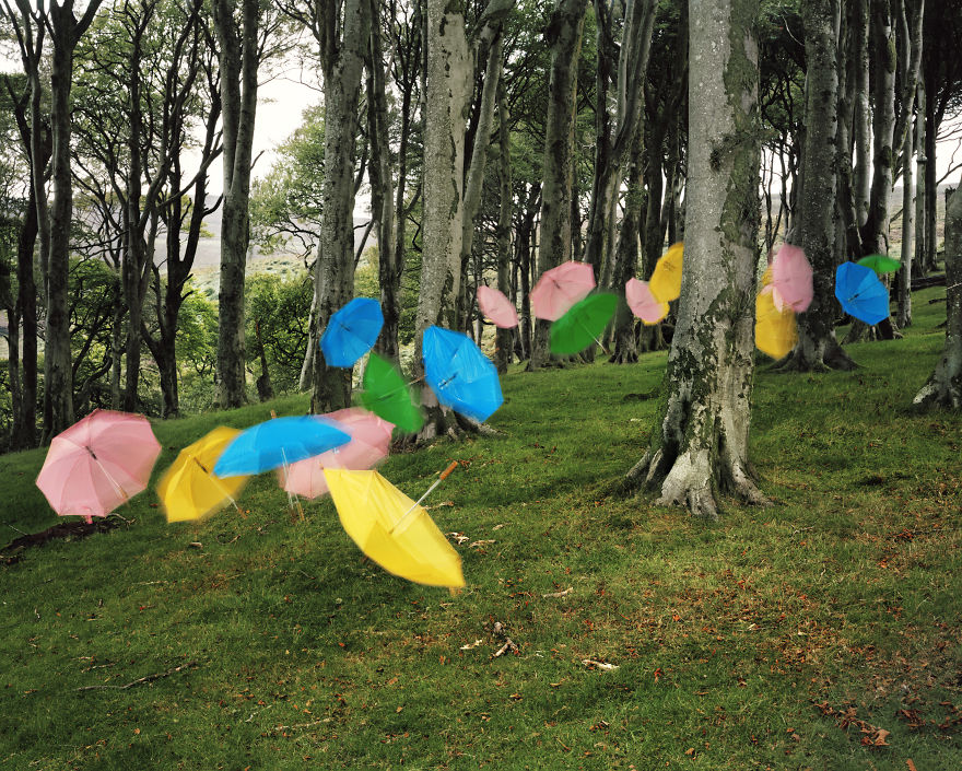 Defying Gravity – One Artwork At A Time Defying Gravity – One Artwork At A Time