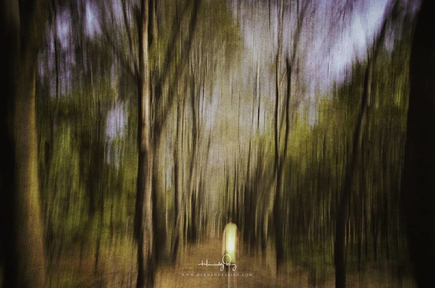 I Wanted To Paint And I Ended Up Painting With My Camera I Wanted To Paint And I Ended Up Painting With My Camera