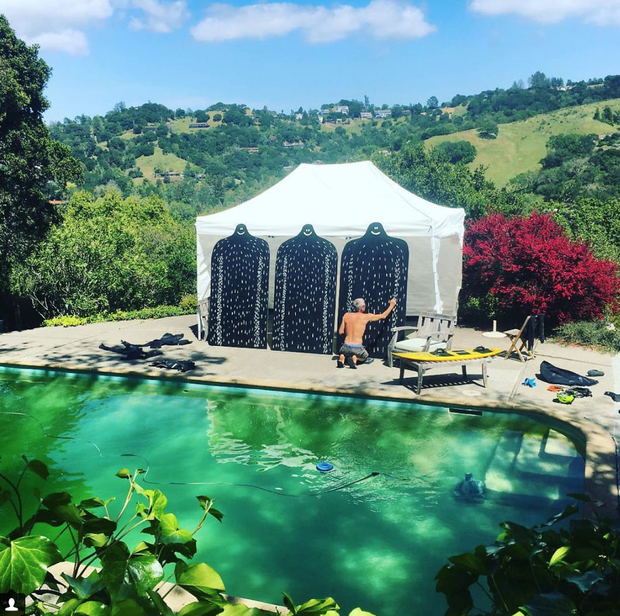 Have You Seen A Lyle In The Wild? Have You Seen A Lyle In The Wild?