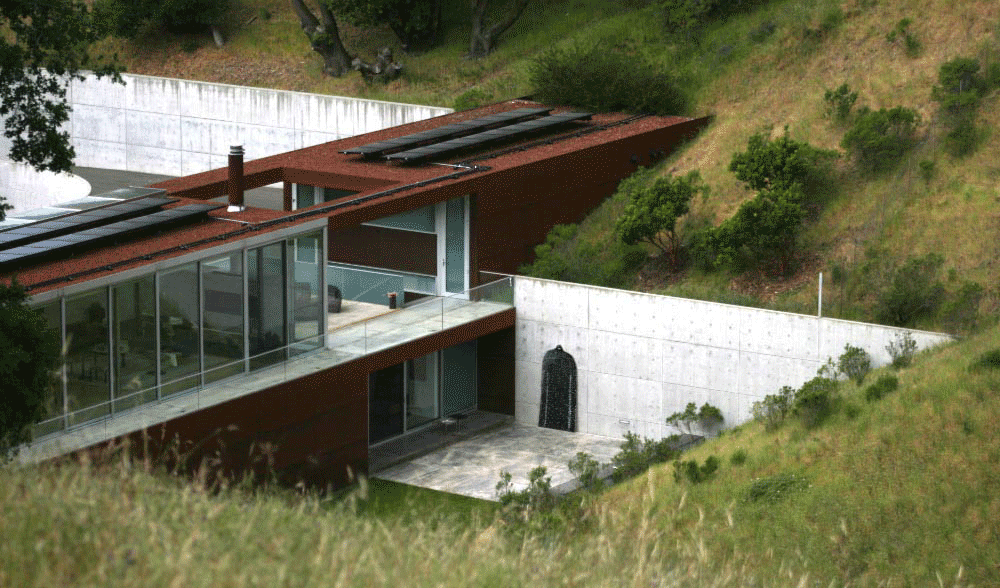 Have You Seen A Lyle In The Wild? Have You Seen A Lyle In The Wild?