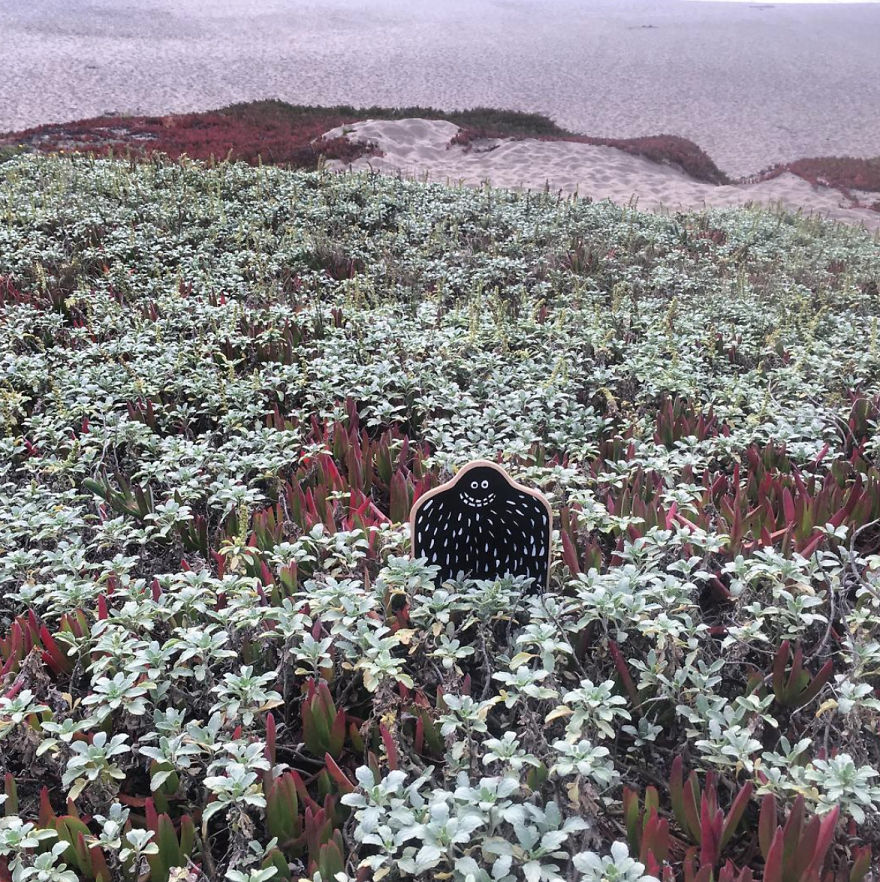 Have You Seen A Lyle In The Wild? Have You Seen A Lyle In The Wild?