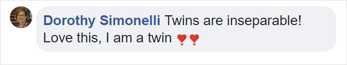 Dog Meets Her “Twin” On The Way To The Market, Convinces Its Owners To Adopt Him Immediately Dog Meets Her “Twin” On The Way To The Market, Convinces Its Owners To Adopt Him Immediately